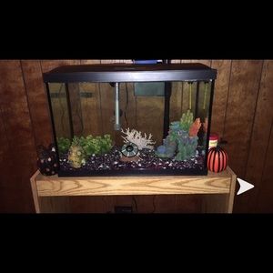 Fish tank